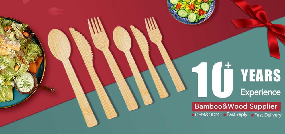 The Sustainable Solution: The Deep Dive into Recycling Disposable Cutlery