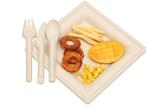 Recommend new products- bagasse sugarcane disposable cutlery